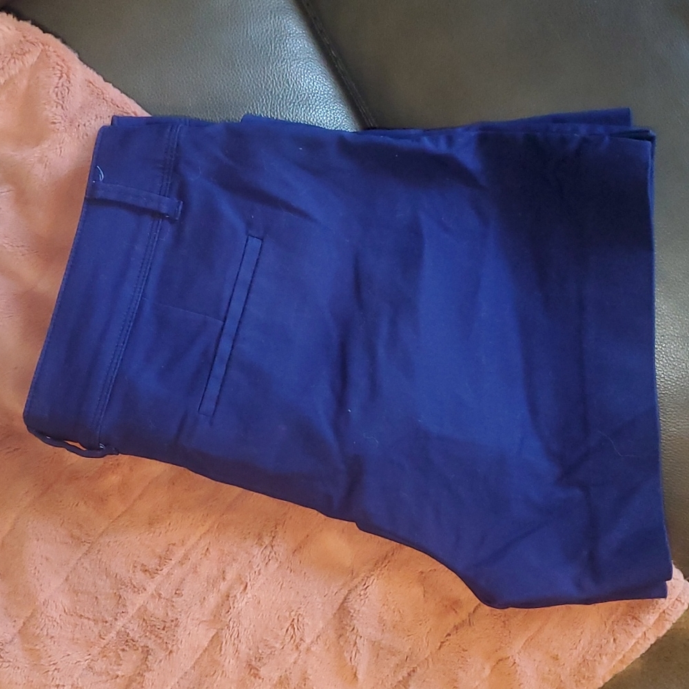 The Limited Royal Blue Shorts